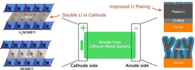 进展 | 高能量密度无负极锂金属电池研究进展